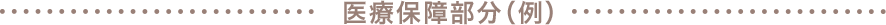 医療保障部分（イメージ）
