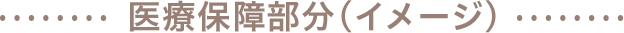 医療保障部分（イメージ）
